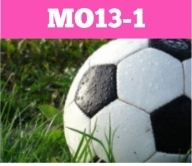Breskens MO13-1