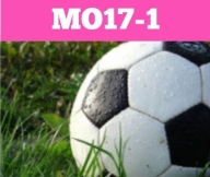 Breskens  MO17-1